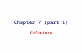 Chemistry 7.1-Cofactors-–-part-1