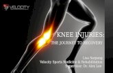 Knee injuries - A journey to recovery - BIO400 - Internship course