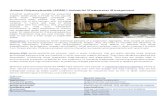 Anionic Polyacrylamide - Industrial Wastewater Management
