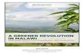A Greener Revolution in Malawi: Next Steps toward Soil ...