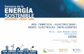V-ELEC 12 Redes Inteligentes en la Region LAC, vision 2030