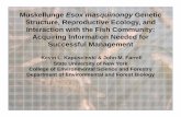 Muskellunge Esox masquinongy Genetic Structure, Reproductive ...