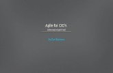 Agile for CIOs