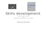 skills development quick selection tool