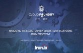 Navigating the Cloud Foundry Ecosystem of Ecosystems: An ISV Perspective