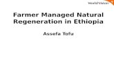 FMNR brings resilience to Ethiopia
