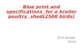 Blue print and specifications for a broiler poultry shed