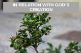 In relation with god's creation