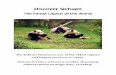 Discover Sichuan - The Panda Capital of the World