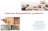 Chitosan nanoparticle synthesis