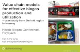 Value Chain models for effective biogas production and utilization ...
