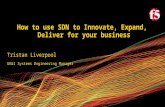 How to use SDN to Innovate, Expand and Deliver for your business
