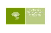Lawn Care 101, Basic Turfgrass Management Principles