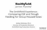 Dr. Ashley DeDecker - The Smithfield Experience: Comparing Electronic Sow Feeding and Trough Feeding for Grouped Housed Sows