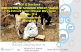 COP 22 Side Event: Improving MRV for agricultural emission reductions in the livestock sector: Ethiopian dairy sector