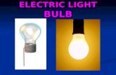 Electric light bul bcatalina