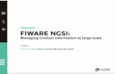 FIWARE NGSI: Managing Context Information at Large Scale