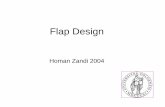 Flap Design