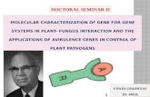 Gene for gene system in plant fungus interaction