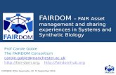 FAIRDOM - FAIR Asset management and sharing experiences in Systems and Synthetic Biology