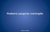 pyogenic meningitis