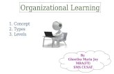 Organisational Learning