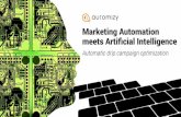 Automizy: artificial intelligence for drip campaign optimization
