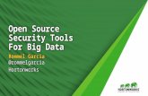 Open Source Security Tools for Big Data