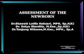 Assessment of the newborn