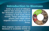 Bio Energy Resources