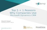 Top 5 + 1 Reasons Why Companies Use Microsoft Dynamics CRM