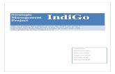 Strategy Management at IndiGo Airlines