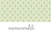 8.3 photosynthesis