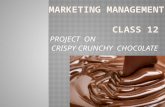 Project on chocolate