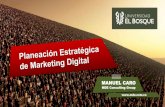 Planeación Estratégica Marketing Digital - Manuel Caro - Diplomado DigitalMarketing Universidad El Bosque
