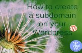 Elizabeth verar how to create subdomain on wordpress