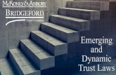 Emerging and Dynamic Trust Laws
