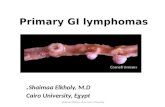 Primary GIT Lymphoma