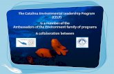 The Catalina Environmental Leadership Program (CELP)