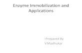Enzyme Immobilization and Applications