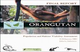 Orangutan Population and Habitat Viability Assessment: Final Report