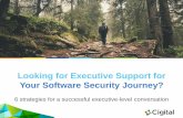 Getting Executive Support for a Software Security Program