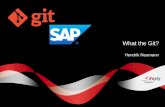 What the git?  - SAP Inside Track Munich 2016