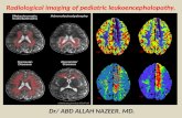 Presentation1, radiological imaging of pediatric leukodystrophy.