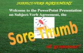 Sub verb agreement