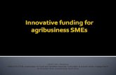 EU Funding opportunities for innovative projects in the Food & Nutrition Security sector