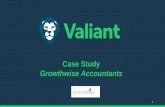 Valiant Finance Accountant Small Business Borrowing Case Study