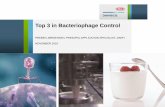 Three ways to effective bacteriophage control in fermented dairy production