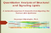 Quantitative analysis of structural and signaling lipid networks
