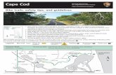 NostalgicOutdoors™- Bike trails, CAPE COD NATIONAL SEASHORE